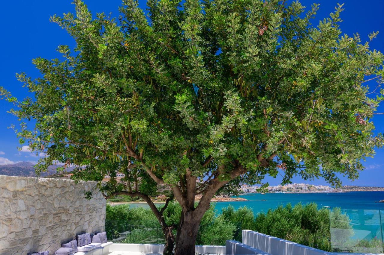 The Island Concept Luxury Boutique Hotel Heated Pool Agios Nikolaos  Luaran gambar